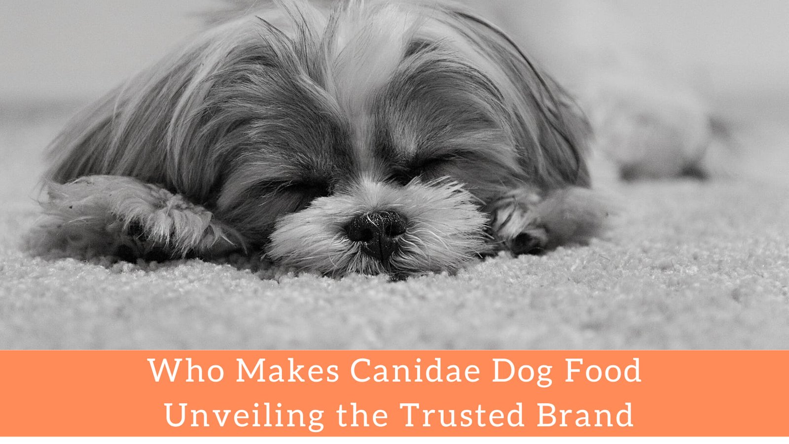 who makes canidae dog food